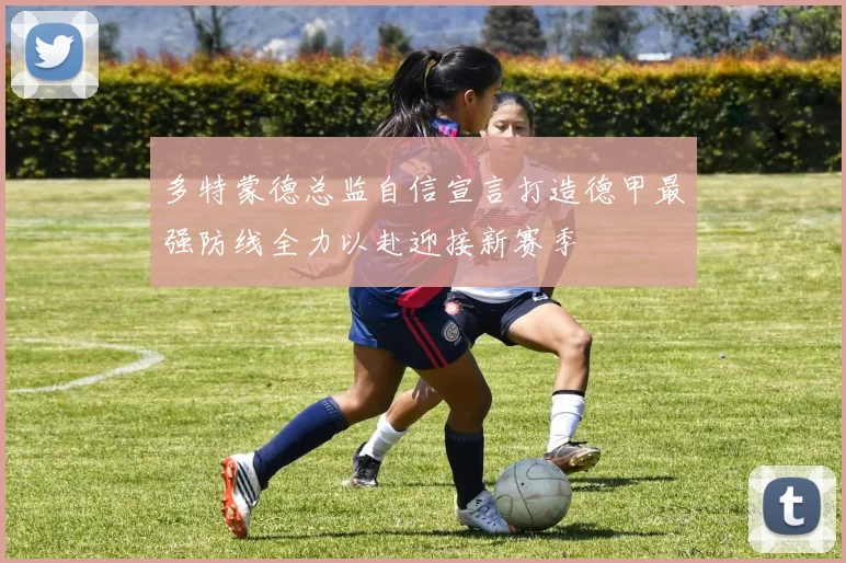 多特蒙德总监自信宣言打造德甲最强防线全力以赴迎接新赛季